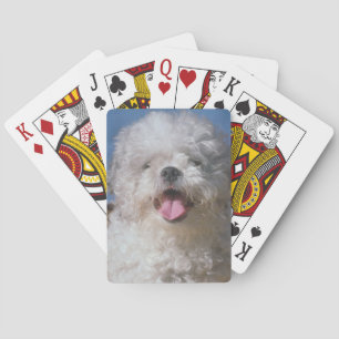 Baralho Cartões de jogo desgrenhado do cão de caniche