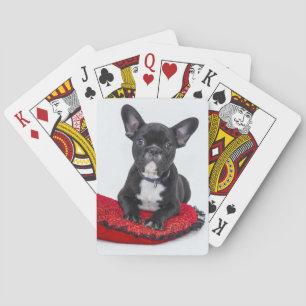 Baralho Cartões de jogo do buldogue francês