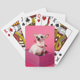 Baralho Cartões de jogo do cão da chihuahua