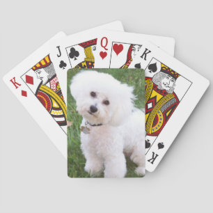 Baralho Cartões de jogo do cão de Bichon Frise