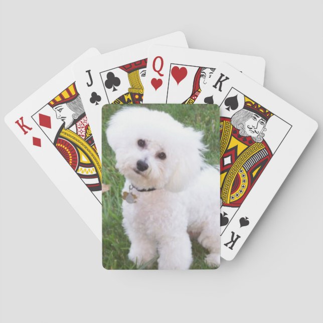 Baralho Cartões de jogo do cão de Bichon Frise (Verso)