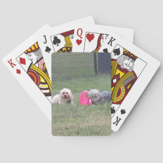 Baralho Cartões de jogo do cobre e da moeda de um centavo