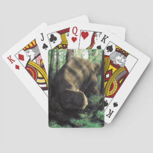 Baralho Cartões de jogo do dinossauro