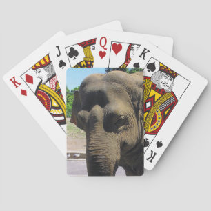 Baralho Cartões de jogo do elefante