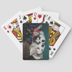 Baralho Cartões de jogo do filhote de cachorro do rouco