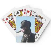 Cartões de jogo do galgo (4)