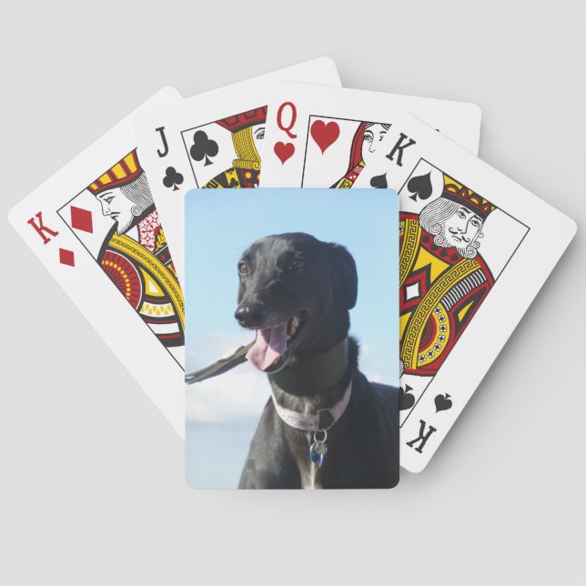 Baralho Cartões de jogo do galgo (4) (Verso)