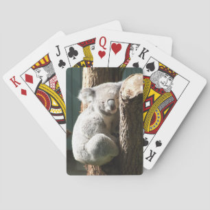 Baralho Cartões de jogo do Koala