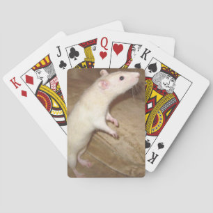 BARALHO CARTÕES DE JOGO DO RATO DA DANÇA