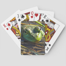 Cartões de jogo do sapo de Bull