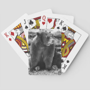 Baralho Cartões de jogo do urso