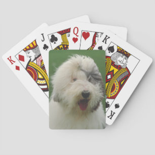 Baralho Cartões de jogo ingleses velhos do cão do Sheepd
