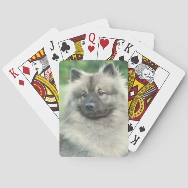 Baralho Cartões de Jogo Keeshond (Verso)