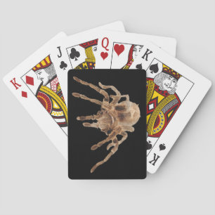 Baralho Cartões de jogo lisos do Tarantula