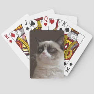 Baralho Cartões de jogo mal-humorados do gato
