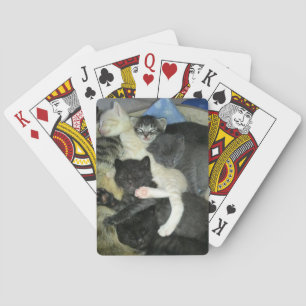 Baralho Cartões de jogo Napping dos gatinhos, plataforma