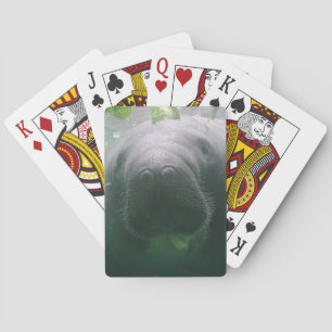 Baralho Cartões de jogo superficiais da bicicleta do