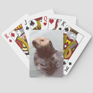 Baralho Cartões de Poker de Fotos para Poker no Mar do Ala