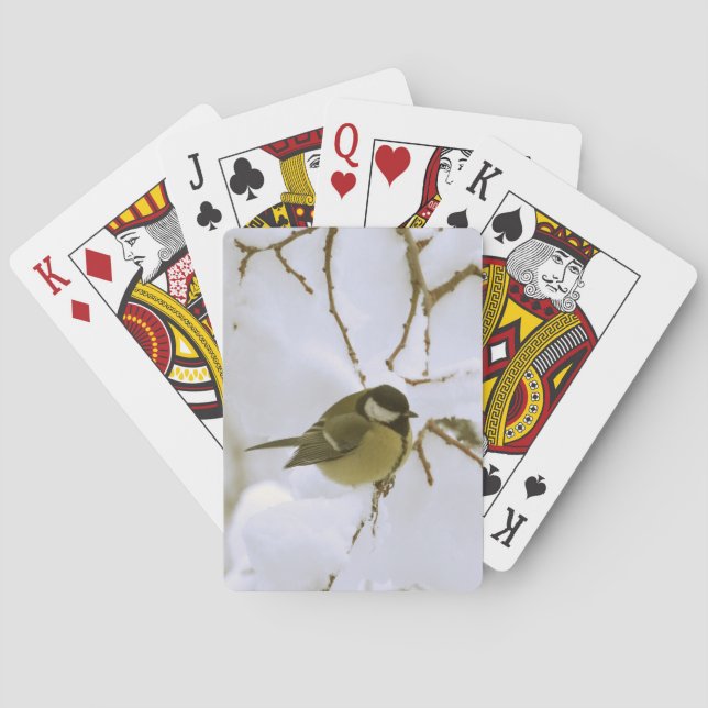 Baralho Cartões de Reprodução Clássicos de Neve (Verso)