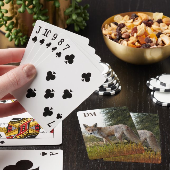Baralho Cartões de Reprodução Clássicos de Raposa Vermelha (In situ)
