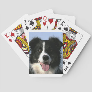 Baralho Cartões de Reprodução de Cachorro-Collie