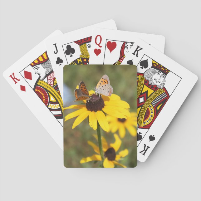 Baralho Cartões de Reprodução de Casal de Borboleta (Verso)