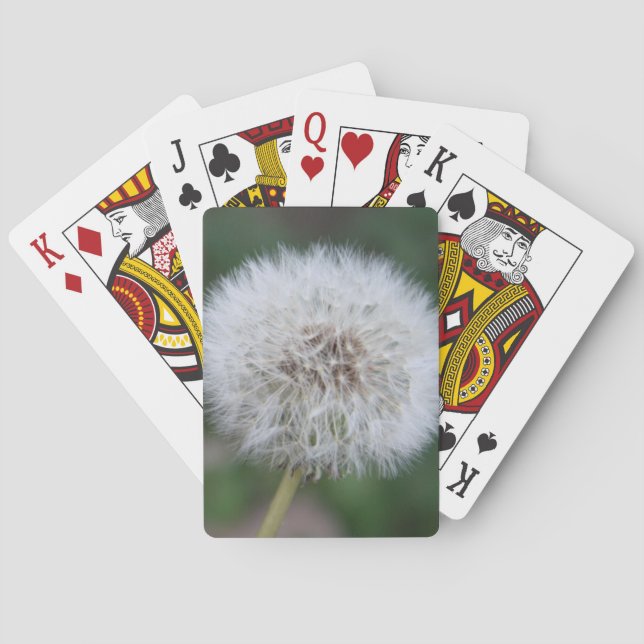 Baralho Cartões de Reprodução de Dandelion (Verso)