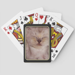 Baralho Cartões De Reprodução De Fotografias De Gatinhos D