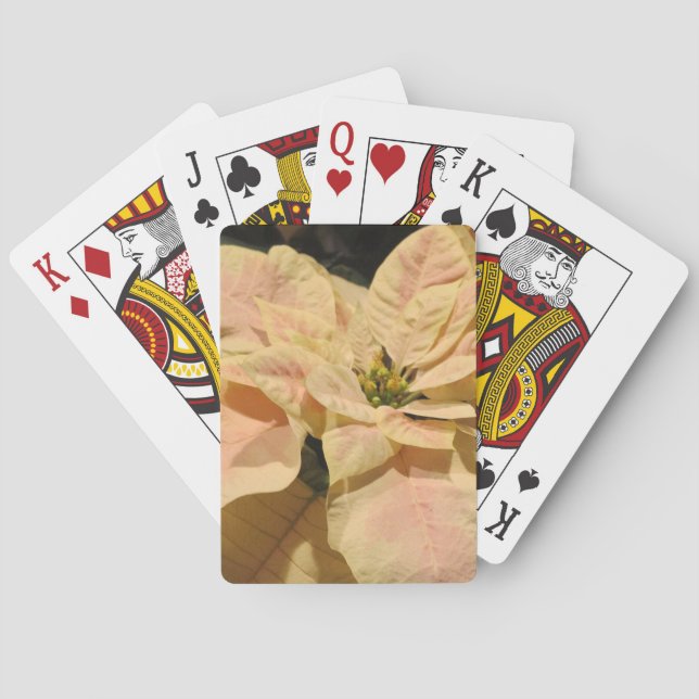 Baralho Cartões de Reprodução de Natal de Poinsettia Rosa (Verso)