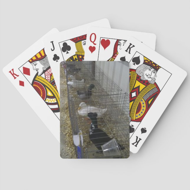 Baralho Cartões de Reprodução de Pato (Verso)