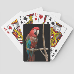 Baralho Cartões de Reprodução de Pavimentos para Macaw 52
