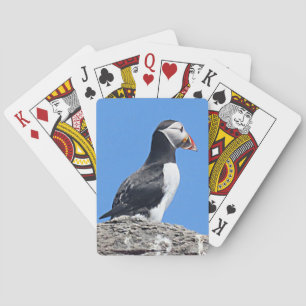 Baralho Cartões de Reprodução de Puffin