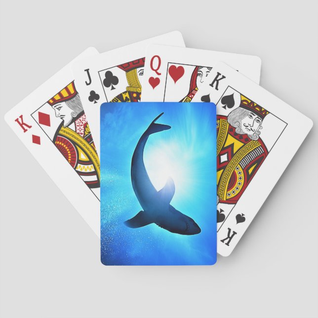 Baralho Cartões de Reprodução de Tubarões (Verso)