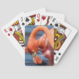 Baralho Cartões de Reprodução Flamingo Flamingo