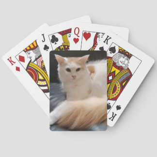 Baralho Cartões de Snowdrop