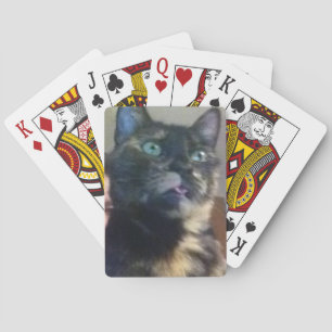 Baralho Cartões do gato