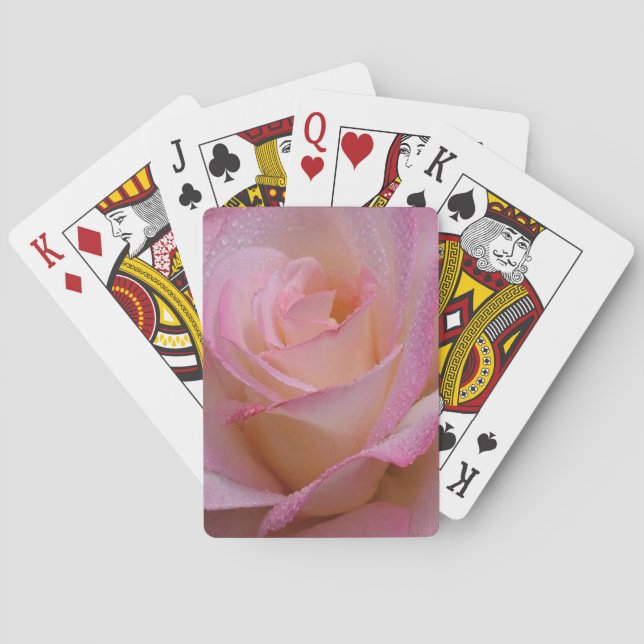 Baralho Cartões Lindos Rosa Rosa Rosa (Verso)