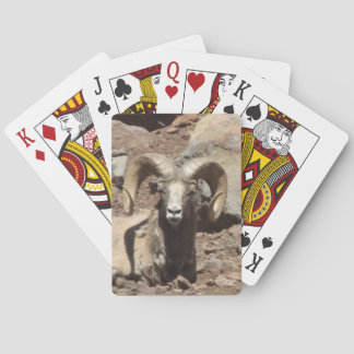 Baralho Cartões Ram