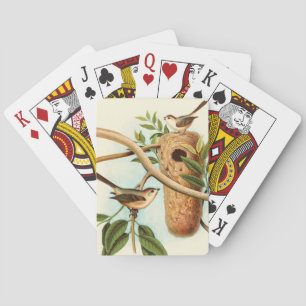Baralho Casal de pássaro em um ninho preso em uma ramifica
