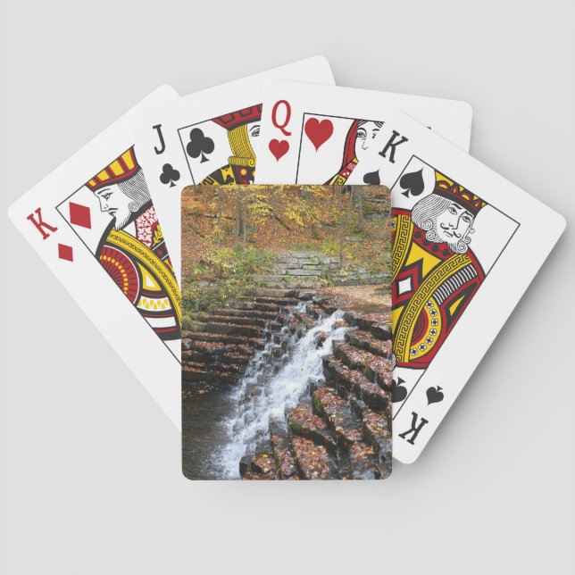 Baralho Cascata em Laurel Hill State Park II (Verso)