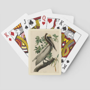 Baralho Castanho Pelicano das Aves da América de Audubon