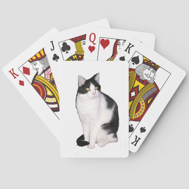 Baralho Cat 12 Cartões de Reprodução (Verso)