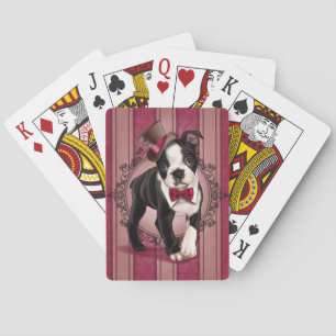 Baralho Cavalheiro Boston Terrier