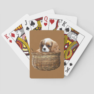 Baralho Cavalier King Charles Spaniel