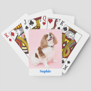 Baralho Cavalier Spaniel Dog ou Sua Foto, Nome Azul Vs 2