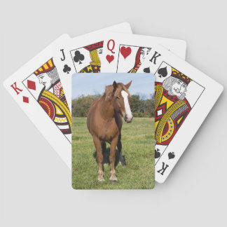 Baralho Cavalo bonito
