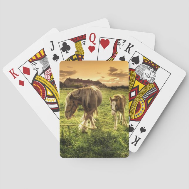 Baralho Cavalo da mãe & do potro (Verso)