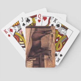 Baralho Cavalo de Baía Vermelha nos estábulos