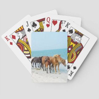 Baralho Cavalos no litoral nacional de Assateague