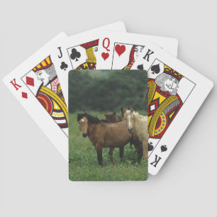 Baralho Cavalos selvagens 4 do mustang
